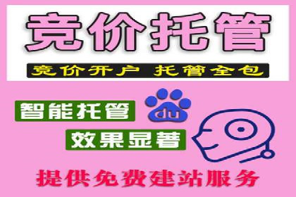 案例分析：SEM如何助力企业增长